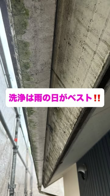 軒天洗浄